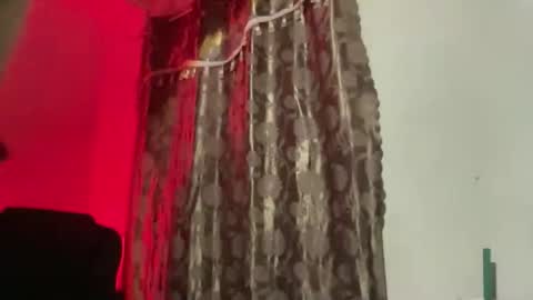 Snapshot of kat_hollandx chatting on November 20, 2025, 7:35 pm Majesty online show from November 20, 2025, 7:35 pm