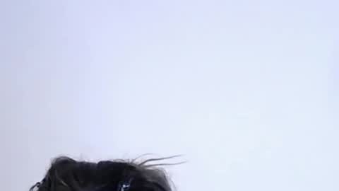 Help me with rate thanks  online show from February 10, 2026, 11:20 pm