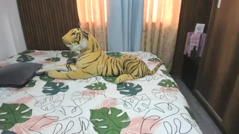 kata online show from June 13, 2026, 12:36 pm