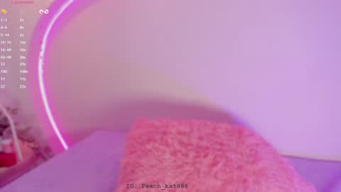 Katy  IGPeach kat666 online show from January 7, 2025, 4:48 pm