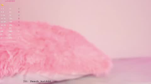 Katy  IGPeach kat666 online show from January 16, 2025, 3:35 pm