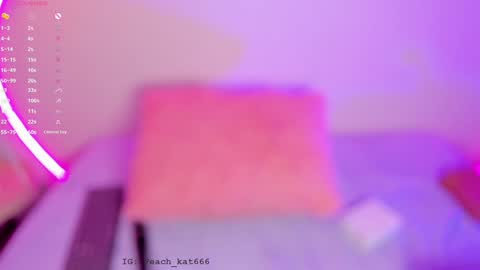 Katy  IGPeach kat666 online show from February 5, 2025, 3:52 pm