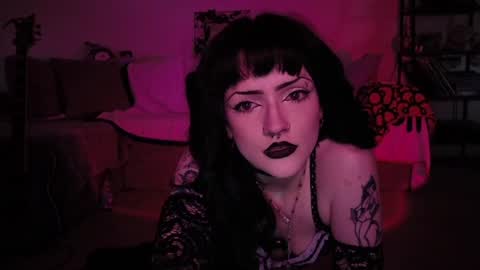 kattattacck online show from June 9, 2026, 7:03 pm