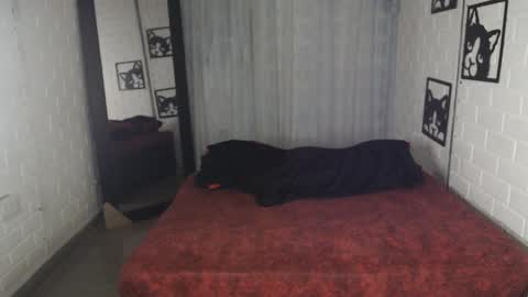 kattia online show from February 1, 2025, 12:40 am