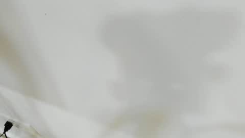 katy blonde girl and paola big boobs online show from June 17, 2026, 7:04 pm