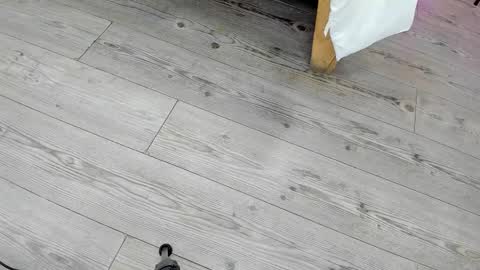 Kendra London online show from February 24, 2026, 11:19 am