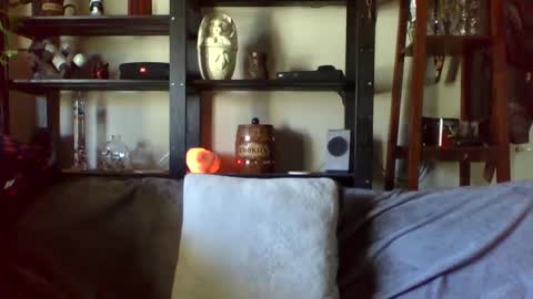 Ken Kuddles online show from January 17, 2025, 10:12 pm