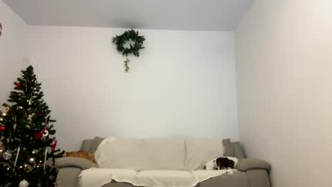 Kenna next time online - 2nd of Dec online show from December 23, 2024, 4:06 pm