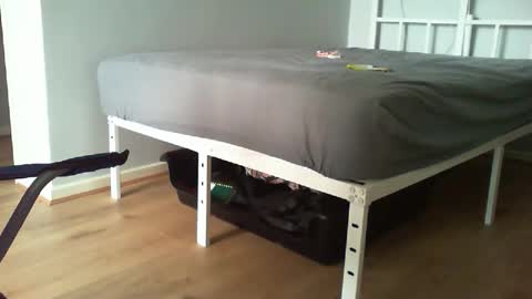 Snapshot of kevee1955 chatting on February 20, 2026, 11:00 am Daddyo online show from February 20, 2026, 11:00 am