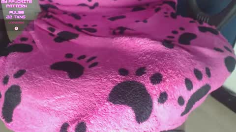 Kevin online show from February 25, 2026, 3:05 am