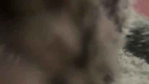 kg1726860 online show from October 11, 2025, 6:50 pm