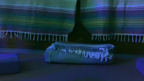 Snapshot of kim_kim69 chatting on October 13, 2025, 12:49 pm Kim online show from October 13, 2025, 12:49 pm