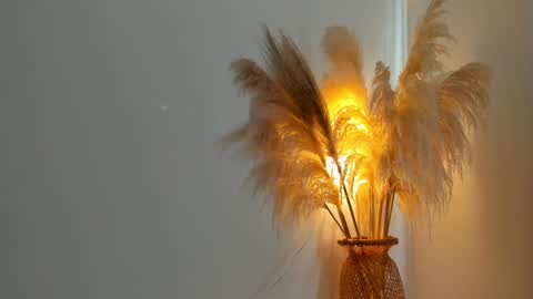 Kim Murphy online show from December 31, 2024, 12:36 pm