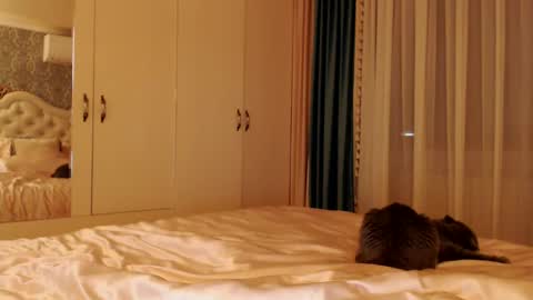 Kim Lee  online show from December 14, 2024, 7:14 pm