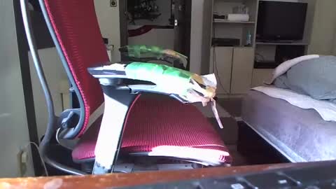 kinchan069 online show from December 26, 2024, 3:59 am