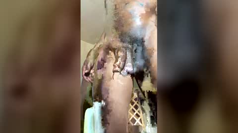 KingEcstasyXXX online show from May 21, 2026, 7:15 am