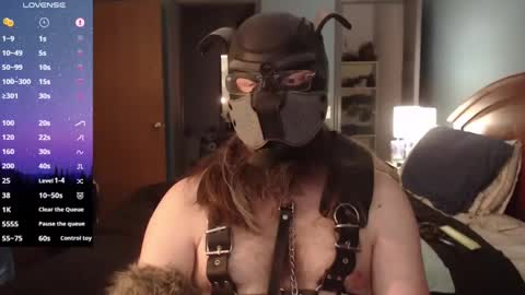 kinkywolf87 online show from February 2, 2025, 9:56 pm