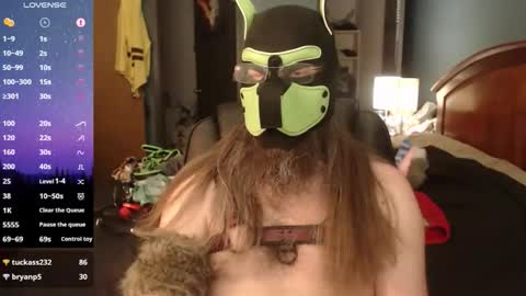 kinkywolf87 online show from May 20, 2026, 11:00 pm