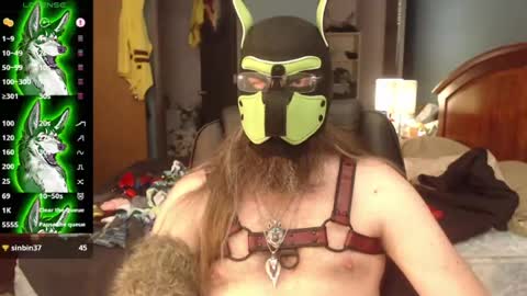 kinkywolf87 online show from July 8, 2026, 7:29 pm
