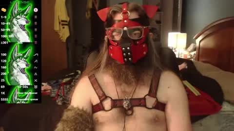 kinkywolf87 online show from July 22, 2026, 4:54 pm