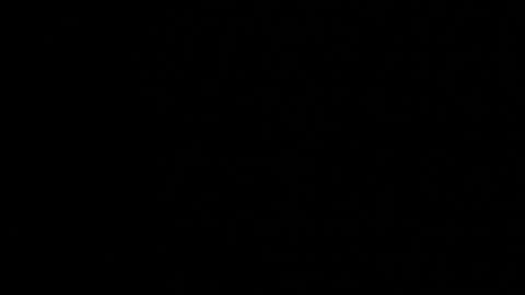 M A R A  online show from December 5, 2025, 12:19 am