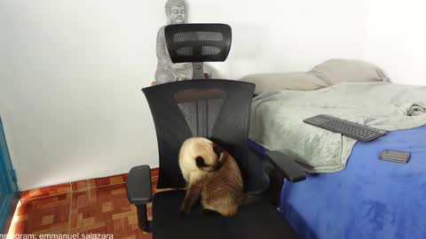 kite__ online show from December 23, 2024, 3:44 pm