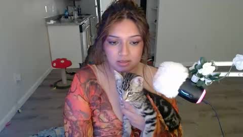 kittengonewild online show from May 24, 2026, 11:32 pm