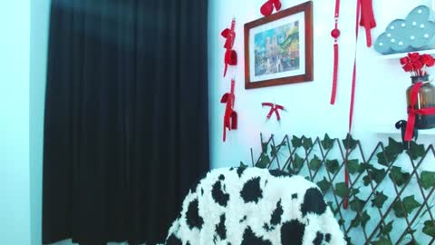 kitty_vaal online show from January 3, 2025, 3:49 am