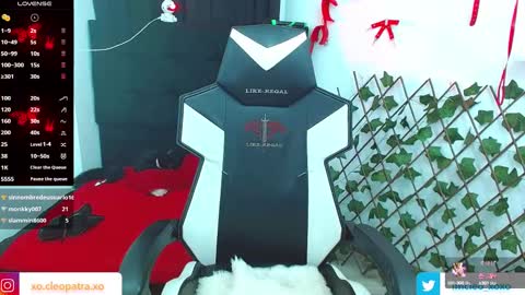 kitty_vaal online show from February 13, 2025, 8:06 am