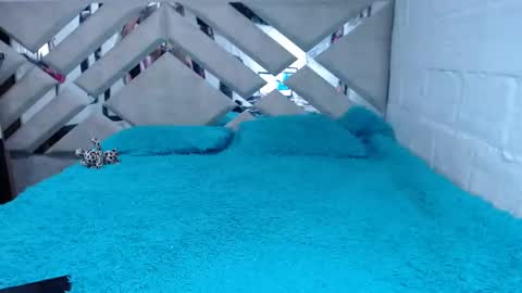 kittyzevee_ online show from February 8, 2025, 1:11 am