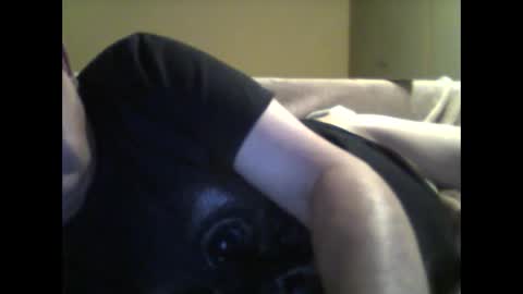 Snapshot of klingbeil501095 chatting on May 31, 2026, 9:49 pm klingbeil501095 online show from May 31, 2026, 9:49 pm