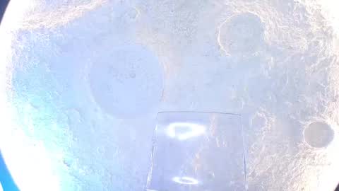 Snapshot of kloee_12 chatting on September 15, 2025, 12:05 pm K L O E online show from September 15, 2025, 12:05 pm