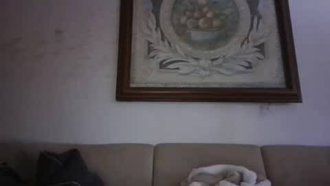 kobolt67 online show from February 24, 2026, 3:43 pm