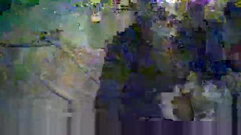 koelie1982 online show from June 8, 2026, 11:16 pm