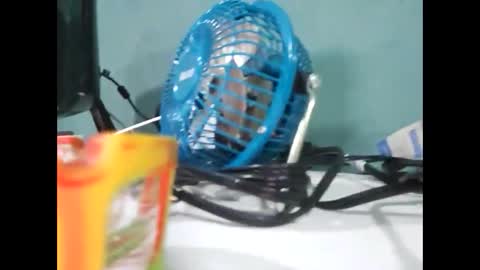 Snapshot of koto420 chatting on December 31, 2024, 3:01 am Koto Bombon online show from December 31, 2024, 3:01 am