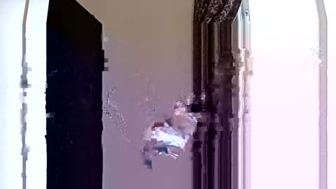 kpk1982 online show from October 19, 2025, 2:40 pm