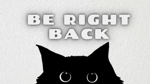   online show from February 12, 2026, 3:56 am