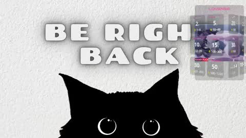   online show from February 25, 2026, 3:38 am