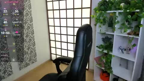 Kristi online show from February 9, 2025, 11:36 am