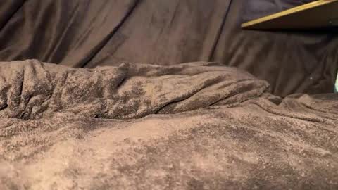 kylevandick online show from April 11, 2026, 11:58 am