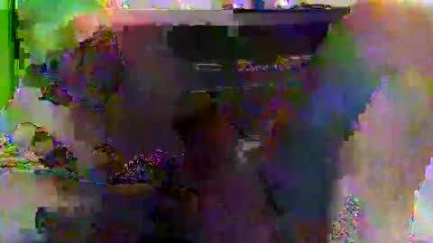 Snapshot of kylevogt2024 chatting on April 14, 2026, 3:56 am kylevogt2024 online show from April 14, 2026, 3:56 am