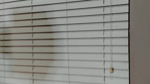 Kylie online show from January 14, 2026, 4:07 am