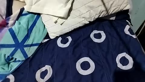 l0c0fundias online show from September 13, 2025, 7:08 am