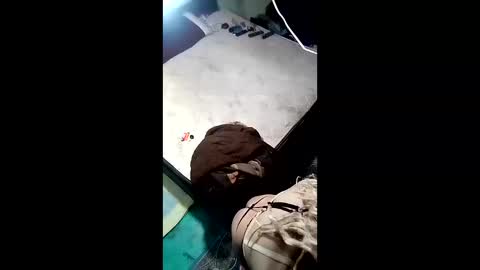 labestiareconoseme44420 online show from April 1, 2026, 7:53 am