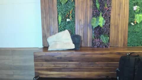 Snapshot of labrinthteasing chatting on March 2, 2026, 12:23 pm labrinthteasing online show from March 2, 2026, 12:23 pm