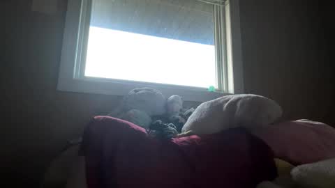 Snapshot of lacedinsin chatting on May 5, 2026, 2:30 am lacedinsin online show from May 5, 2026, 2:30 am