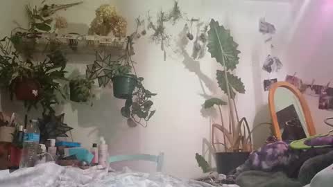 lacybell online show from December 24, 2024, 6:44 am