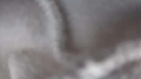 hugbug online show from December 17, 2024, 4:34 am
