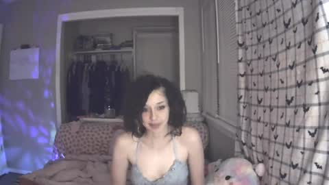 hugbug online show from December 18, 2024, 3:04 am