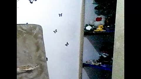 ladydeathz online show from December 15, 2024, 4:37 pm